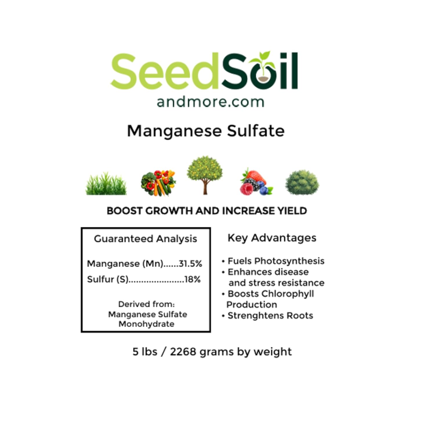 Seed, Soil, and More Manganese Sulfate Granular Fertilizer – Corrects Manganese Deficiency, Promotes Greener Leaves & Stronger Plant Growth – for Gardens, Trees, Lawns & Crops (5 lbs)