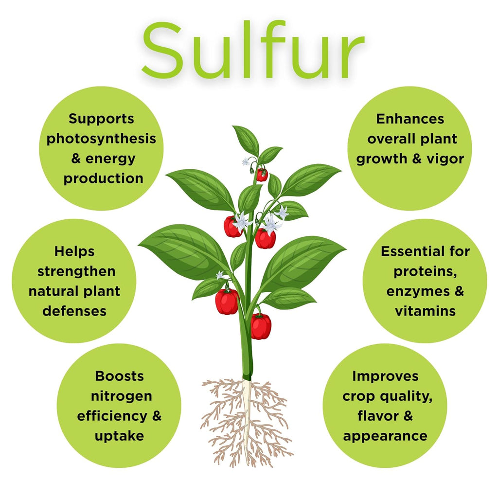 Seed, Soil, and More Elemental Sulfur Granules 90% - Lowers Soil pH, Soil Conditioner for Lawns, Gardens & Plants – 5 lbs