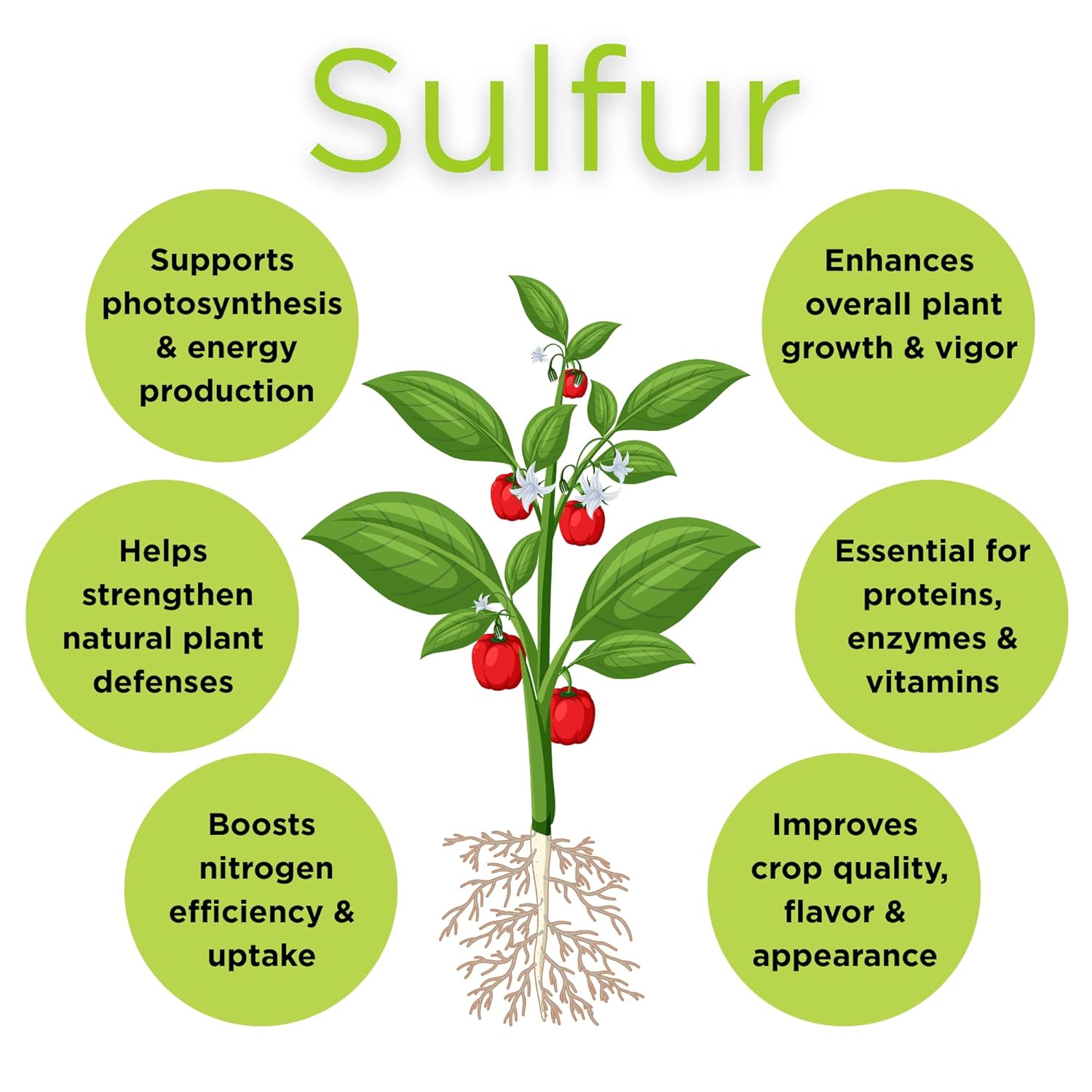 Seed, Soil, and More Elemental Sulfur Granules 90% - Lowers Soil pH, Soil Conditioner for Lawns, Gardens & Plants – 5 lbs