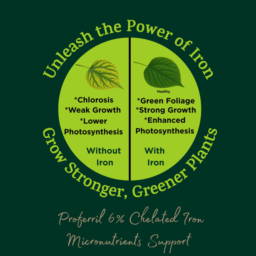 Proferril 6% Chelated Iron-100% Water Soluble Micronutrient for Plants, Lawns, Hydroponics - Corrects Iron Chlorosis & Yellow Leaves - Made in USA - 1 Pound (1 lb)