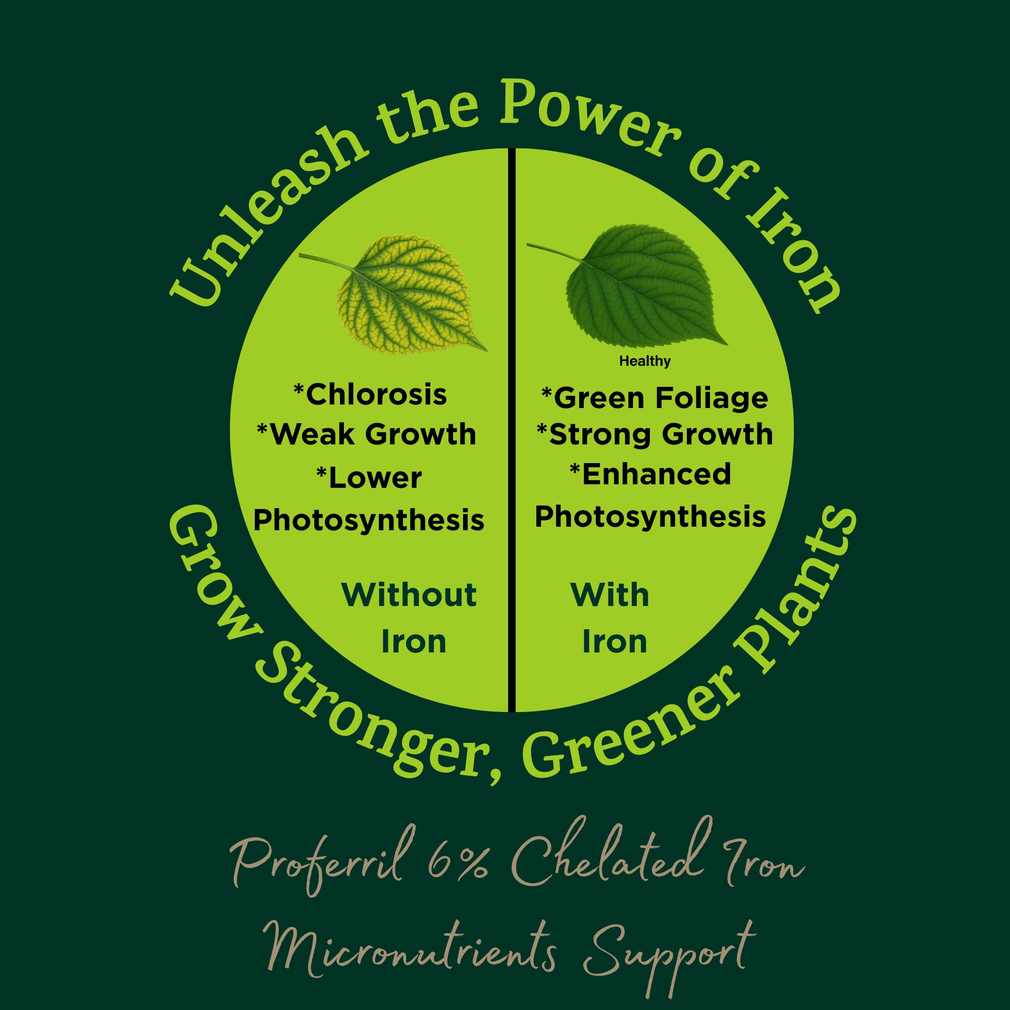 Proferril 6% Chelated Iron-100% Water Soluble Micronutrient for Plants, Lawns, Hydroponics - Corrects Iron Chlorosis & Yellow Leaves - Made in USA - 1 Pound (1 lb)