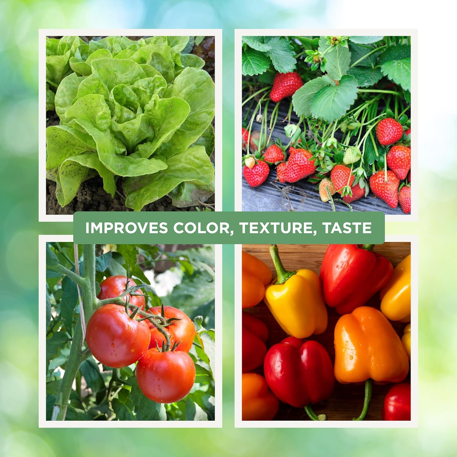 Seed, Soil, and More Calcium Nitrate Fertilizer 15.5-0-0 – Fast-Acting Nitrogen & Calcium – Prevents Blossom End Rot – Sweetens Fruit – Water Soluble for Soil & Hydroponics - 5 lbs