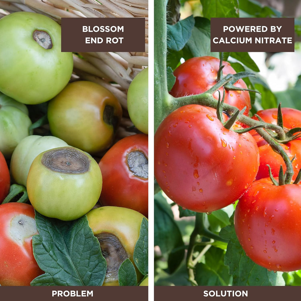 Seed, Soil, and More Calcium Nitrate Fertilizer 15.5-0-0 – Fast-Acting Nitrogen & Calcium – Prevents Blossom End Rot – Sweetens Fruit – Water Soluble for Soil & Hydroponics - 5 lbs