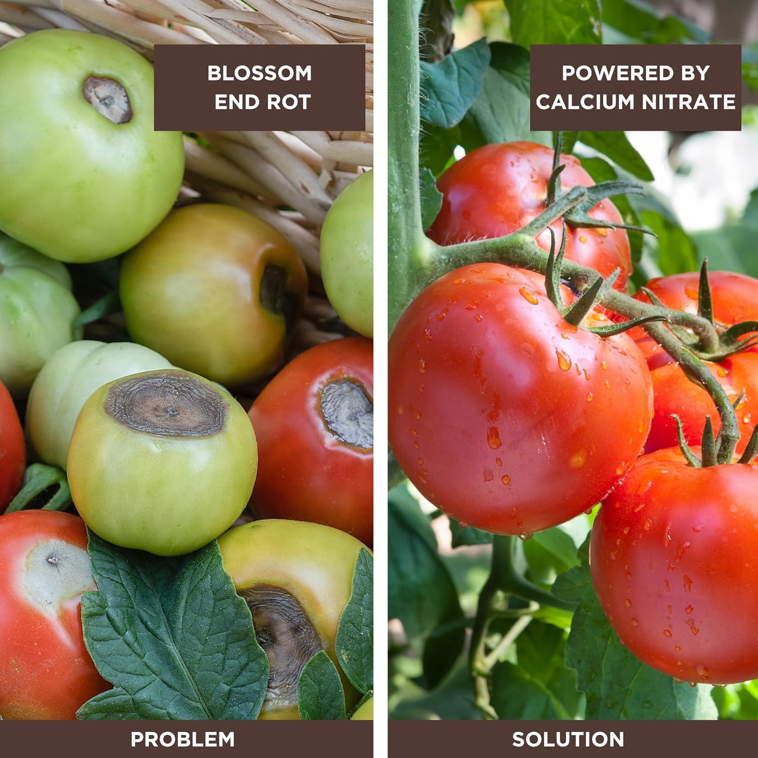 Seed, Soil, and More Calcium Nitrate Fertilizer 15.5-0-0 – Fast-Acting Nitrogen & Calcium – Prevents Blossom End Rot – Sweetens Fruit – Water Soluble for Soil & Hydroponics - 5 lbs
