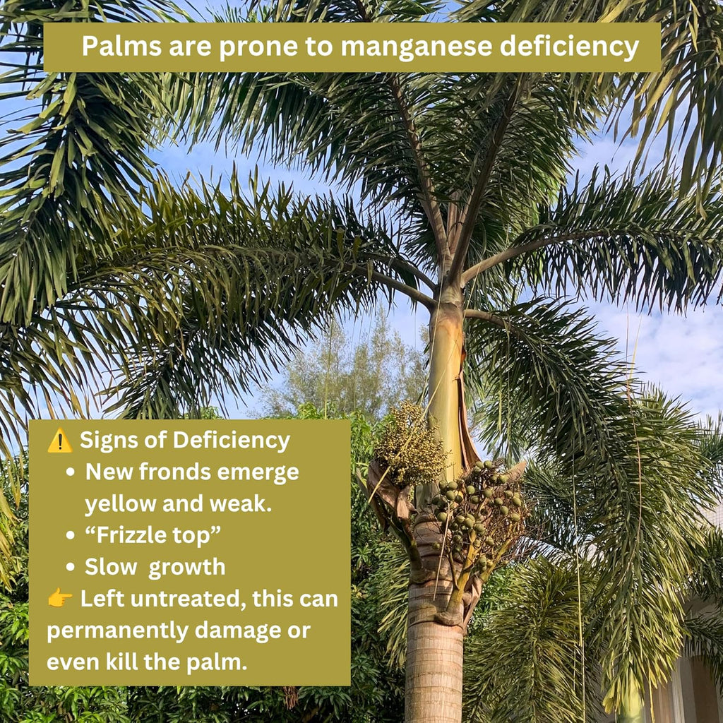 Seed, Soil, and More Manganese Sulfate Granular Fertilizer – Corrects Manganese Deficiency, Promotes Greener Leaves & Stronger Plant Growth – for Gardens, Trees, Lawns & Crops (5 lbs)