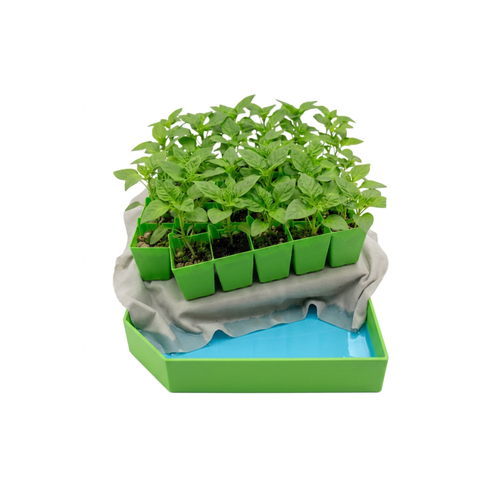 Seed Soil and More Seedling Transplant Tray-Handles for Transplanting, Incredible 35 Plant copacity, Extra-Thick Reusable Germination Kit, for Indoor, Outdoor & Greenhouse Use